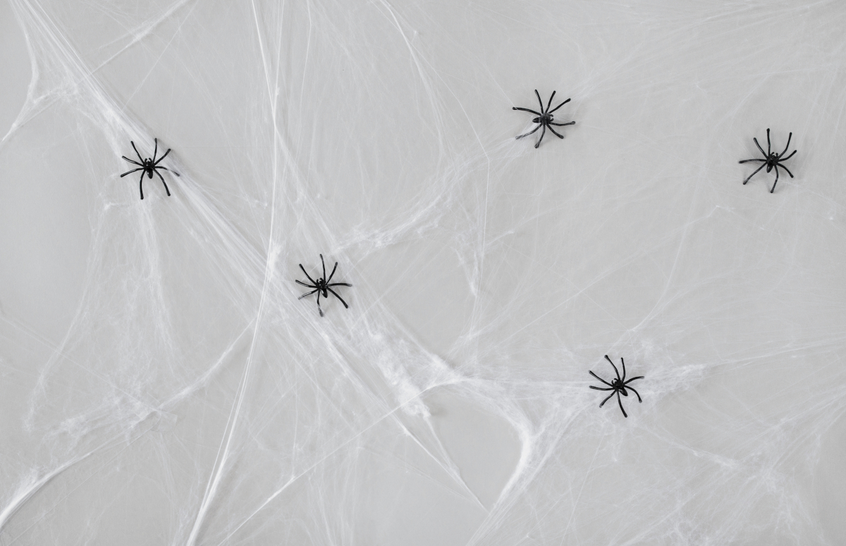 éloigner petite araignée