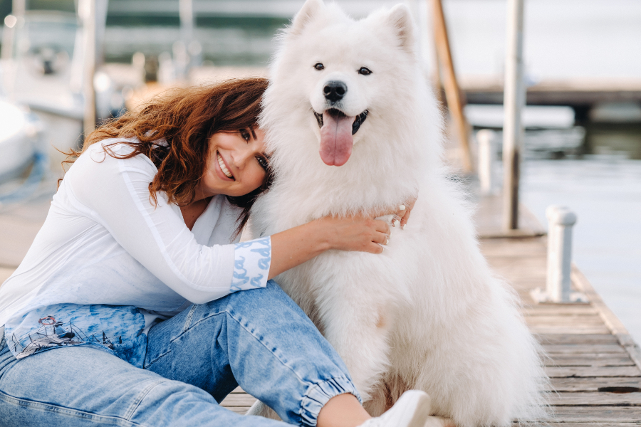 gros chien