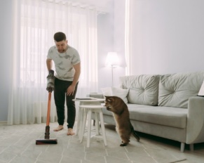 les taches d'animaux sur les tapi