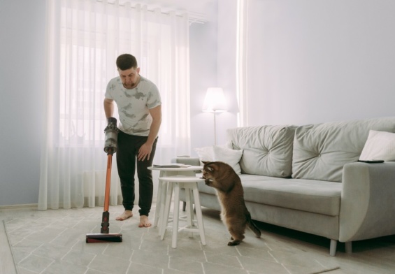 les taches d'animaux sur les tapi