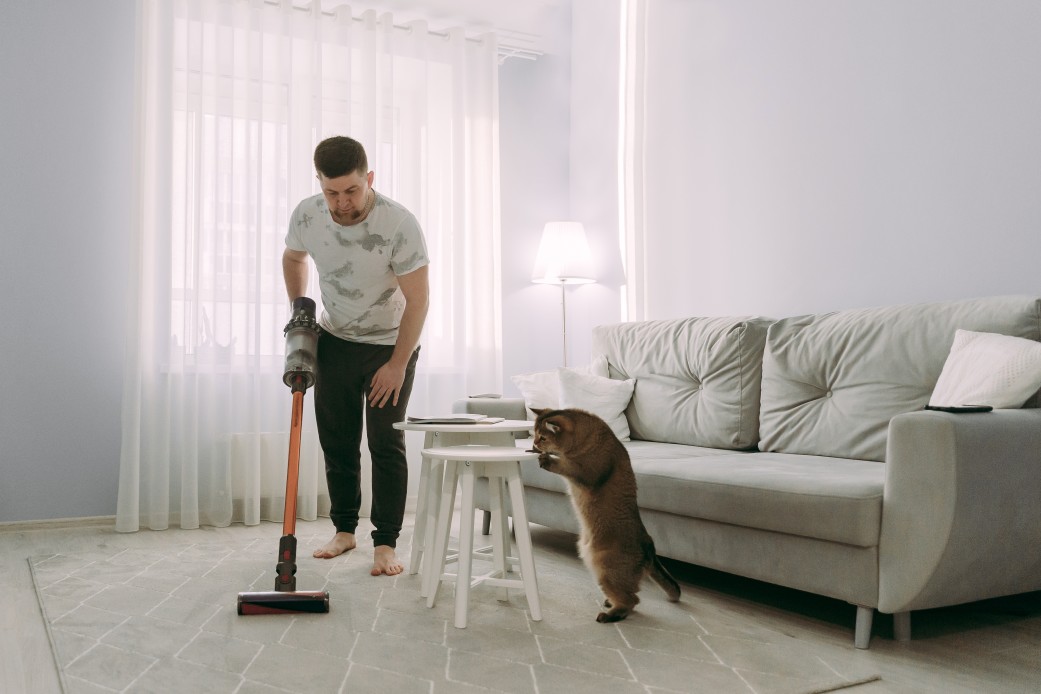 les taches d'animaux sur les tapi