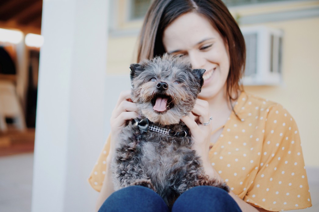 propriétaire et animaux